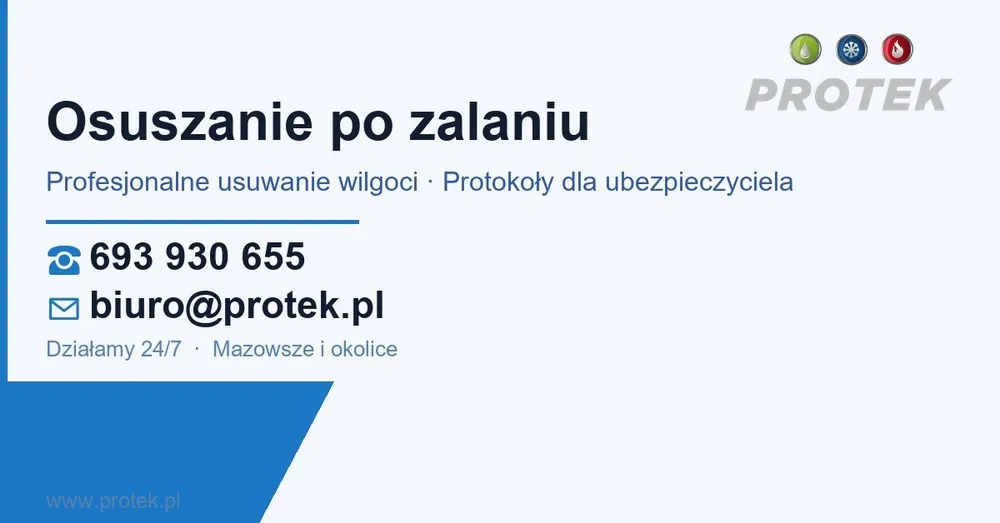 obraz 5